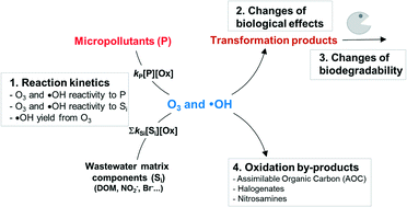Graphical abstract: Advances in predicting organic contaminant abatement during ozonation of municipal wastewater effluent: reaction kinetics, transformation products, and changes of biological effects