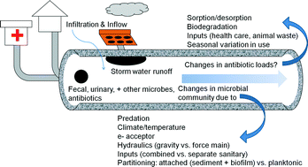 Graphical abstract: Emerging investigators series: sewer surveillance for monitoring antibiotic use and prevalence of antibiotic resistance: urban sewer epidemiology