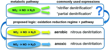 Graphical abstract: A proposed nomenclature for biological processes that remove nitrogen