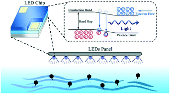 Graphical abstract: LED revolution: fundamentals and prospects for UV disinfection applications