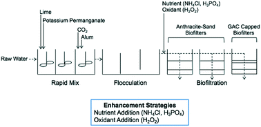 Graphical abstract: Water quality and filter performance of nutrient-, oxidant- and media-enhanced drinking water biofilters
