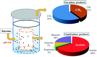 Graphical abstract: Selective co-production of acetate and methane from wastewater during mesophilic anaerobic fermentation under acidic conditions