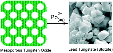Graphical abstract: Exceptional sorption behaviour of porous tungsten oxide for aqueous lead