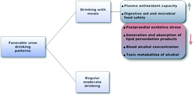 Graphical abstract: Drinking pattern of wine and effects on human health: why should we drink moderately and with meals?