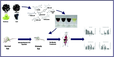 Graphical abstract: The antioxidant effect of mulberry and jamun fruit wines by ameliorating oxidative stress in streptozotocin-induced diabetic Wistar rats