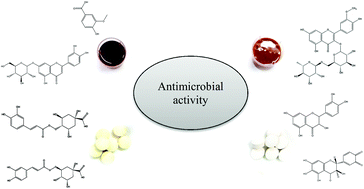 Graphical abstract: Artichoke and milk thistle pills and syrups as sources of phenolic compounds with antimicrobial activity