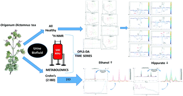 Graphical abstract: 1H-NMR based metabolomics study for the detection of the human urine metabolic profile effects of Origanum dictamnus tea ingestion