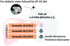 Graphical abstract: Protective effects of fish oil on pre-diabetes: a lipidomic analysis of liver ceramides in rats
