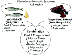 Graphical abstract: The combined action of omega-3 polyunsaturated fatty acids and grape proanthocyanidins on a rat model of diet-induced metabolic alterations