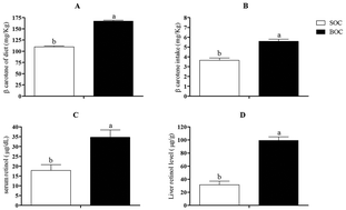 Graphical abstract: Intake of cookies made with buriti oil (Mauritia flexuosa) improves vitamin A status and lipid profiles in young rats
