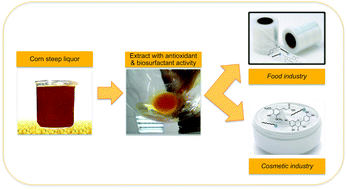 Graphical abstract: A multifunctional extract from corn steep liquor: antioxidant and surfactant activities