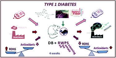 Graphical abstract: Attenuation of oxidative stress in Type 1 diabetic rats supplemented with a seasoning obtained from winemaking by-products and its effect on endothelial function
