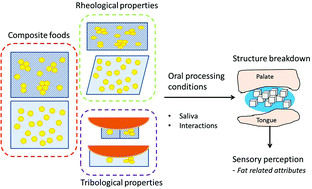 Graphical abstract: Composite foods: from structure to sensory perception