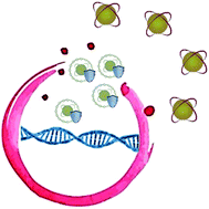 Graphical abstract: Melatonin and hydroxytyrosol-rich wines influence the generation of DNA oxidation catabolites linked to mutagenesis after the ingestion of three types of wine by healthy volunteers