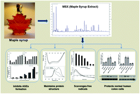 Graphical abstract: Anti-glycation and anti-oxidative effects of a phenolic-enriched maple syrup extract and its protective effects on normal human colon cells