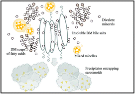Graphical abstract: Negative effects of divalent mineral cations on the bioaccessibility of carotenoids from plant food matrices and related physical properties of gastro-intestinal fluids