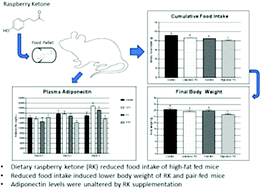 Graphical abstract: Raspberry ketone fails to reduce adiposity beyond decreasing food intake in C57BL/6 mice fed a high-fat diet