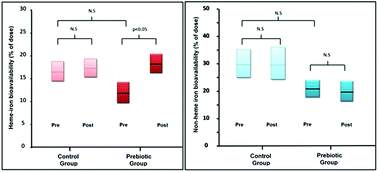 Graphical abstract: Prebiotics increase heme iron bioavailability and do not affect non-heme iron bioavailability in humans