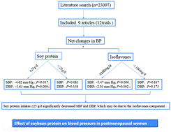 Graphical abstract: Effect of soybean protein on blood pressure in postmenopausal women: a meta-analysis of randomized controlled trials