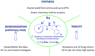 Graphical abstract: Synthesis of a series of amino acid derived ionic liquids and tertiary amines: green chemistry metrics including microbial toxicity and preliminary biodegradation data analysis