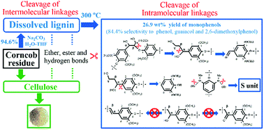 Graphical abstract: Understanding the cleavage of inter- and intramolecular linkages in corncob residue for utilization of lignin to produce monophenols