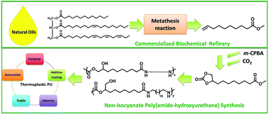 Graphical abstract: Non-isocyanate poly(amide-hydroxyurethane)s from sustainable resources