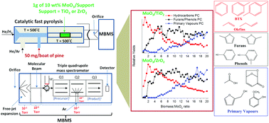 Graphical abstract: Supported molybdenum oxides as effective catalysts for the catalytic fast pyrolysis of lignocellulosic biomass