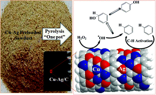 Graphical abstract: One-pot synthesis of a carbon supported bimetallic Cu–Ag NPs catalyst for robust catalytic hydroxylation of benzene to phenol by fast pyrolysis of biomass waste