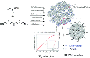 Graphical abstract: Structure design of a hyperbranched polyamine adsorbent for CO2 adsorption