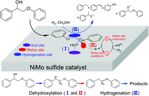 Graphical abstract: Cleavage of the lignin β-O-4 ether bond via a dehydroxylation–hydrogenation strategy over a NiMo sulfide catalyst