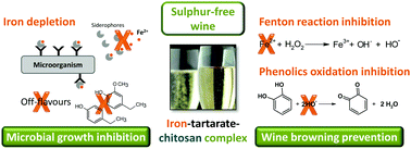Graphical abstract: Chitosan–genipin film, a sustainable methodology for wine preservation