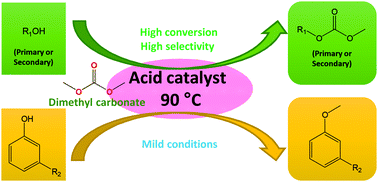 Graphical abstract: Acid-catalysed carboxymethylation, methylation and dehydration of alcohols and phenols with dimethyl carbonate under mild conditions