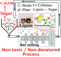Graphical abstract: Simple and practicable process for lignocellulosic biomass utilization