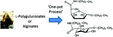 Graphical abstract: Direct and one-pot conversion of polyguluronates and alginates into alkyl-l-guluronamide-based surfactant compositions