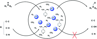 Graphical abstract: Synthesis of formamides containing unsaturated groups by N-formylation of amines using CO2 with H2