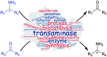 Graphical abstract: Transaminase biocatalysis: optimization and application