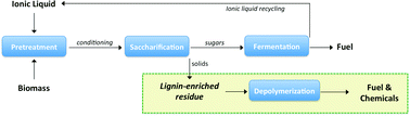 Graphical abstract: Catalytic transfer hydrogenolysis of ionic liquid processed biorefinery lignin to phenolic compounds