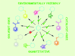 Graphical abstract: Solvent- and catalyst-free, quantitative protection of hydroxyl, thiol, carboxylic acid, amide and heterocyclic amino functional groups