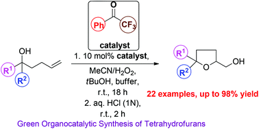 Graphical abstract: Organocatalytic synthesis of polysubstituted tetrahydrofurans from alkenes