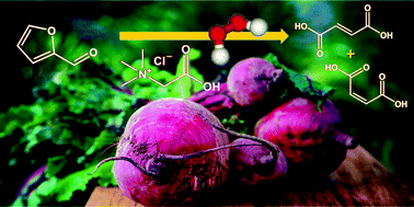 Graphical abstract: Synthesis of maleic and fumaric acids from furfural in the presence of betaine hydrochloride and hydrogen peroxide