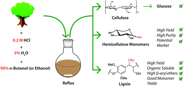Graphical abstract: Pre-treatment of lignocellulosic feedstocks using biorenewable alcohols: towards complete biomass valorisation