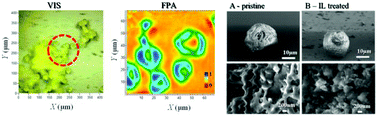 Graphical abstract: From pollen grains to functionalized microcapsules: a facile chemical route using ionic liquids