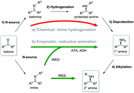 Graphical abstract: One-step asymmetric synthesis of (R)- and (S)-rasagiline by reductive amination applying imine reductases