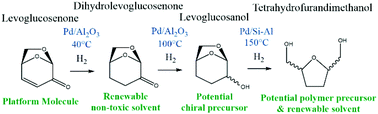 Graphical abstract: Hydrogenation of levoglucosenone to renewable chemicals