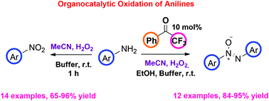 Graphical abstract: Organocatalytic oxidation of substituted anilines to azoxybenzenes and nitro compounds: mechanistic studies excluding the involvement of a dioxirane intermediate
