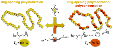 Graphical abstract: Copolymerization of lactones and bioaromatics via concurrent ring-opening polymerization/polycondensation