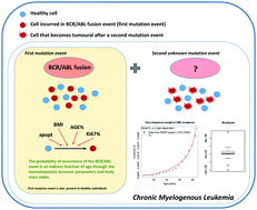 Graphical abstract: Accurate prediction of the age incidence of chronic myeloid leukemia with an improved two-mutation mathematical model
