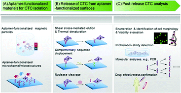 Graphical abstract: Aptamer-functionalized nano/micro-materials for clinical diagnosis: isolation, release and bioanalysis of circulating tumor cells