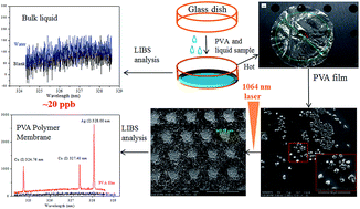 Graphical abstract: Ultra-trace metallic element detection in liquid samples using laser induced breakdown spectroscopy based on matrix conversion and crosslinked PVA polymer membrane