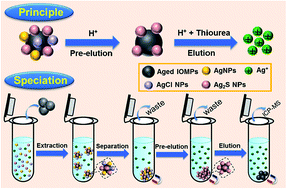 Graphical abstract: Speciation analysis of silver sulfide nanoparticles in environmental waters by magnetic solid-phase extraction coupled with ICP-MS